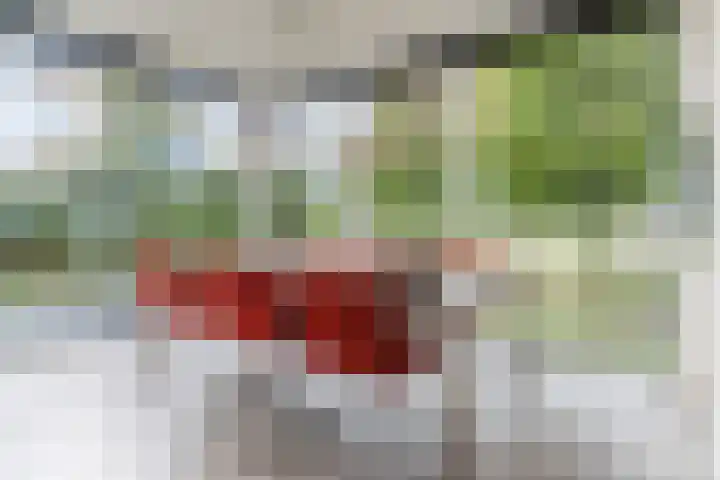 Elstar 40 Berkel-Enschot thumbnail 14