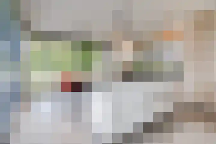 Elstar 40 Berkel-Enschot thumbnail 15