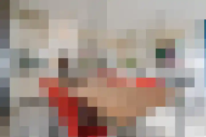 Elstar 40 Berkel-Enschot thumbnail 16
