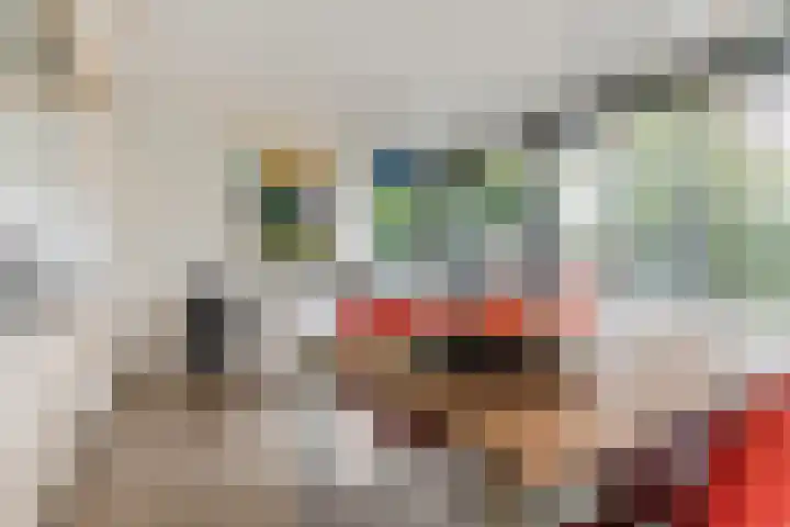 Elstar 40 Berkel-Enschot thumbnail 17