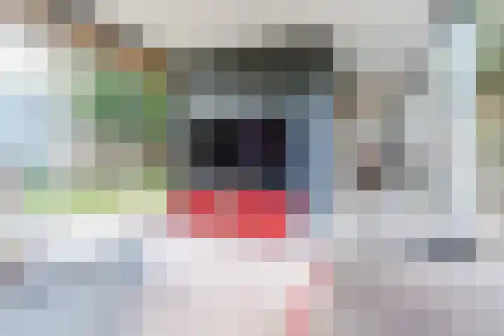Elstar 40 Berkel-Enschot thumbnail 28