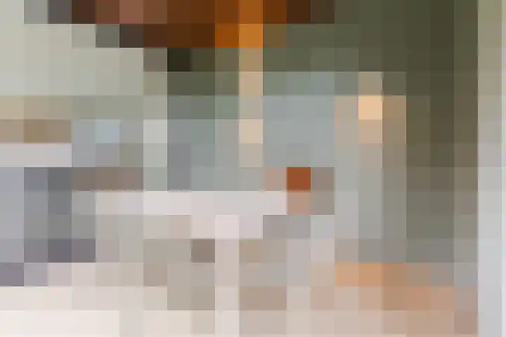 Elstar 40 Berkel-Enschot thumbnail 30