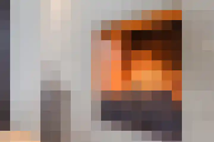 Elstar 40 Berkel-Enschot thumbnail 31
