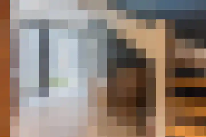 Elstar 40 Berkel-Enschot thumbnail 32