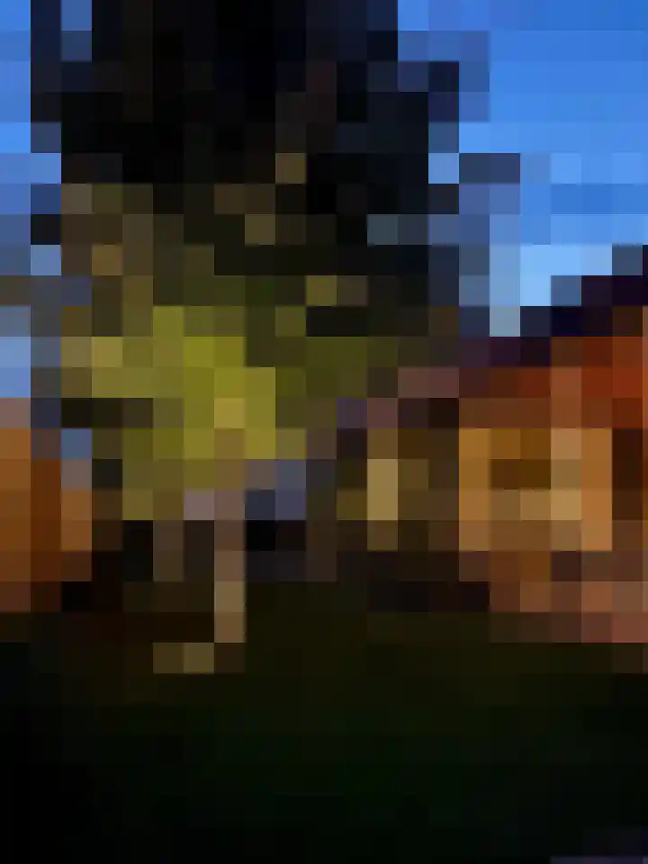 Elstar 40 Berkel-Enschot thumbnail 4