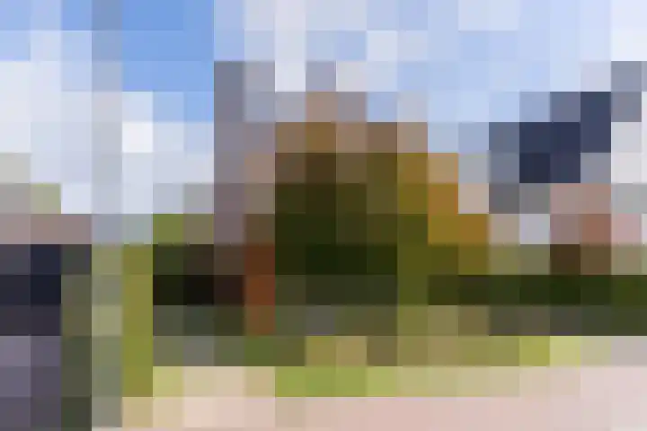 Elstar 40 Berkel-Enschot thumbnail 5