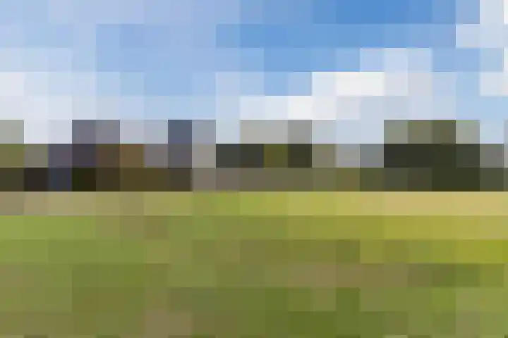 Elstar 40 Berkel-Enschot thumbnail 54