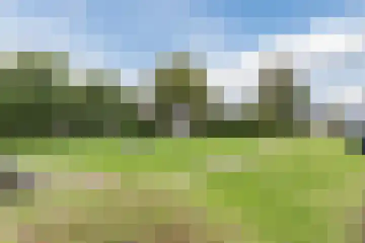 Elstar 40 Berkel-Enschot thumbnail 55