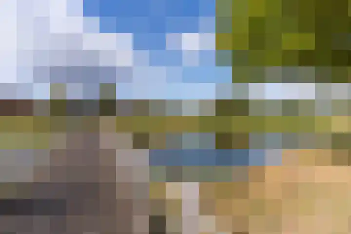 Elstar 40 Berkel-Enschot thumbnail 56
