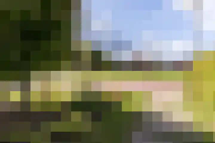 Elstar 40 Berkel-Enschot thumbnail 8