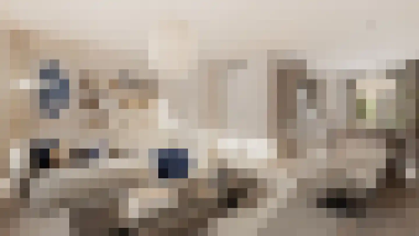 Elstar 43 Hendrik-Ido-Ambacht thumbnail 5
