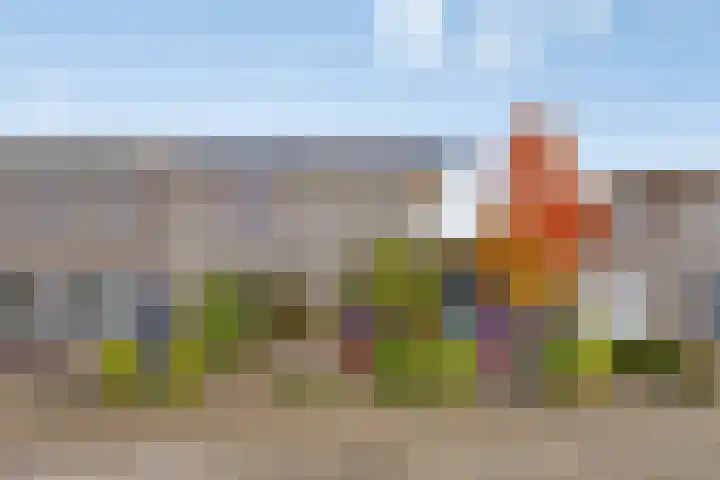 Elstar 7 Elst