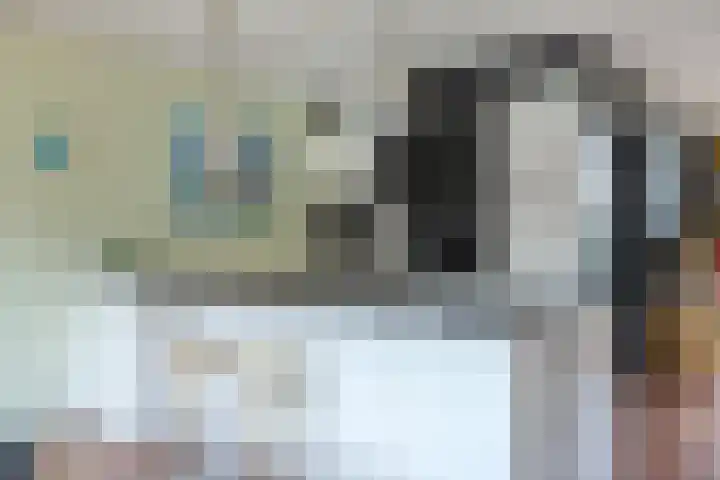 Elstar 7 Elst thumbnail 14