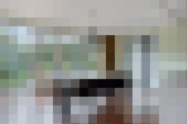 Elstar 7 Elst thumbnail 15