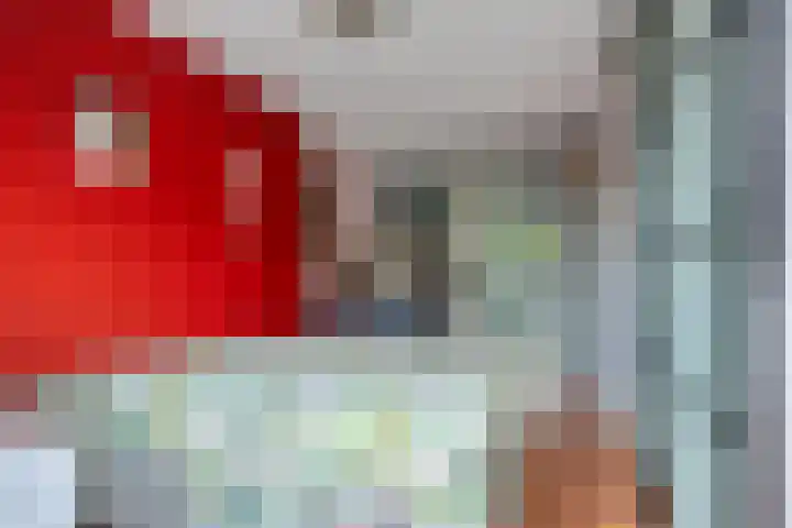 Elstar 7 Elst thumbnail 18