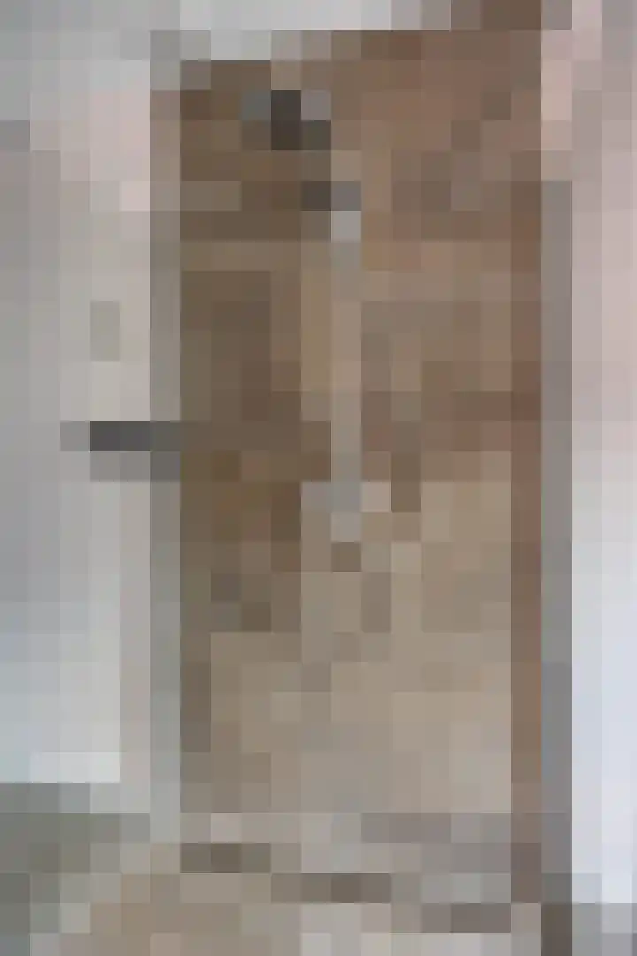 Elstar 7 Elst thumbnail 21