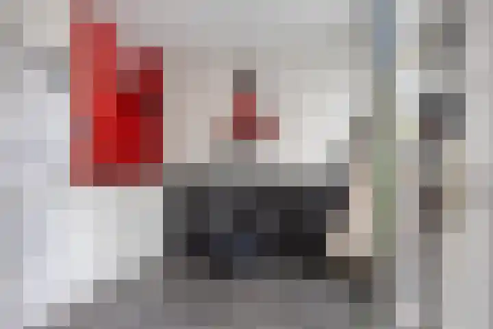 Elstar 7 Elst thumbnail 23