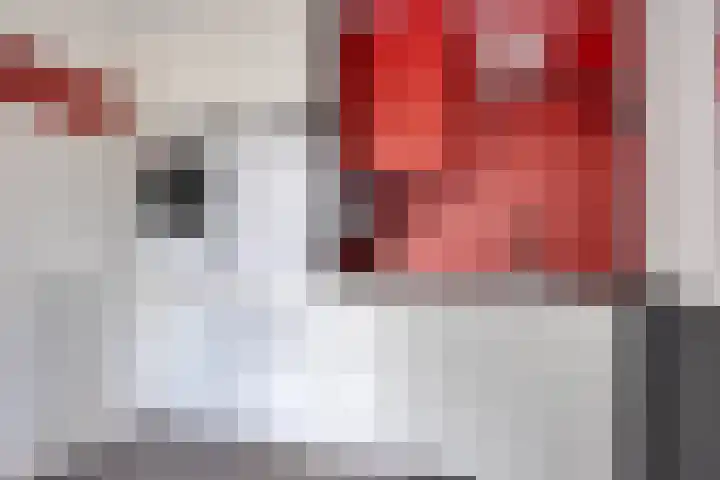 Elstar 7 Elst thumbnail 24