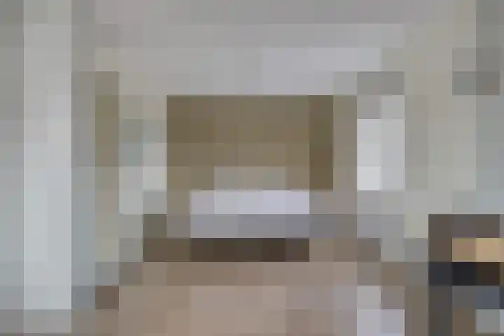 Elstar 7 Elst thumbnail 25