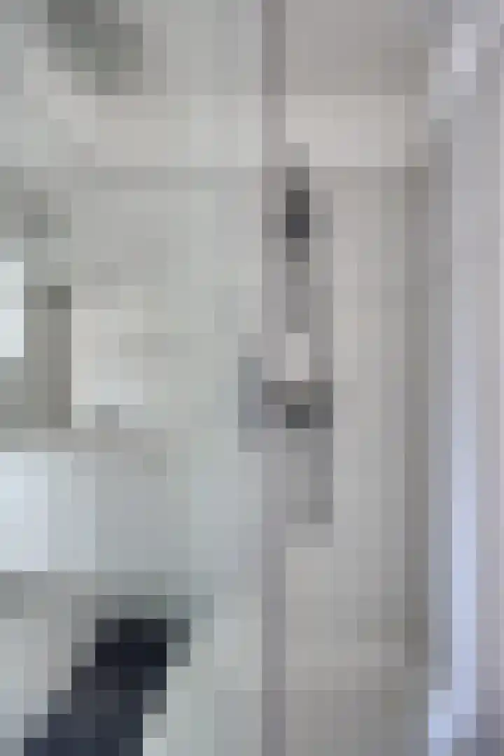 Elstar 7 Elst thumbnail 28