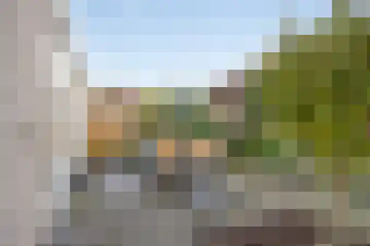 Elstar 7 Elst thumbnail 30