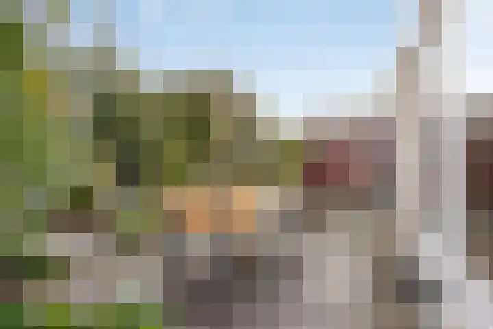 Elstar 7 Elst thumbnail 31