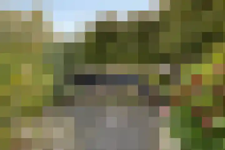 Elstar 7 Elst thumbnail 33