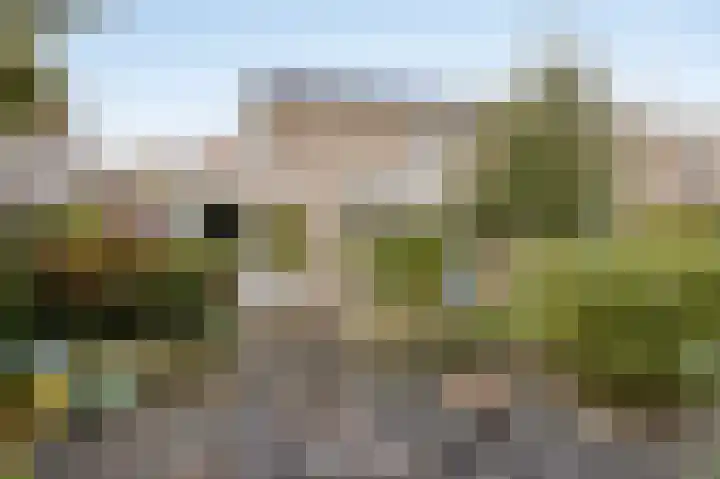 Elstar 7 Elst thumbnail 34