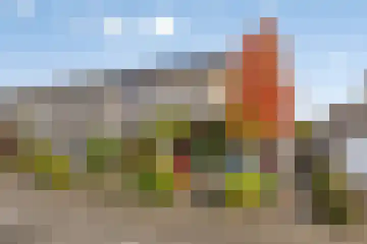 Elstar 7 Elst thumbnail 4