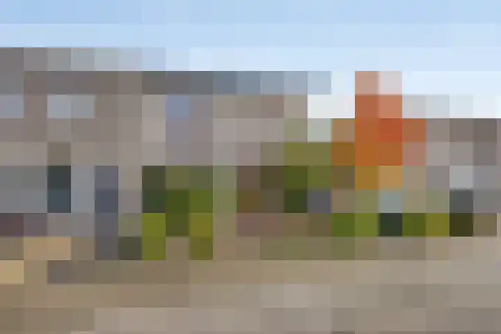 Elstar 7 Elst thumbnail 5