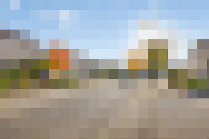 Elstar 7 Elst thumbnail 6