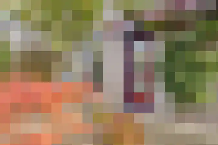 Elstar 7 Elst thumbnail 7