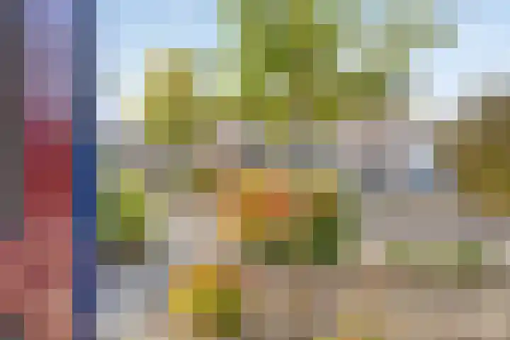 Elstar 7 Elst thumbnail 8