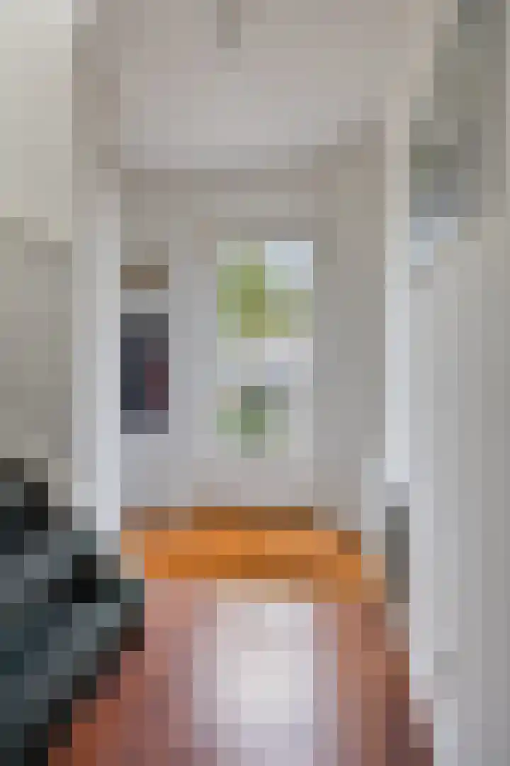 Elstar 7 Elst thumbnail 9