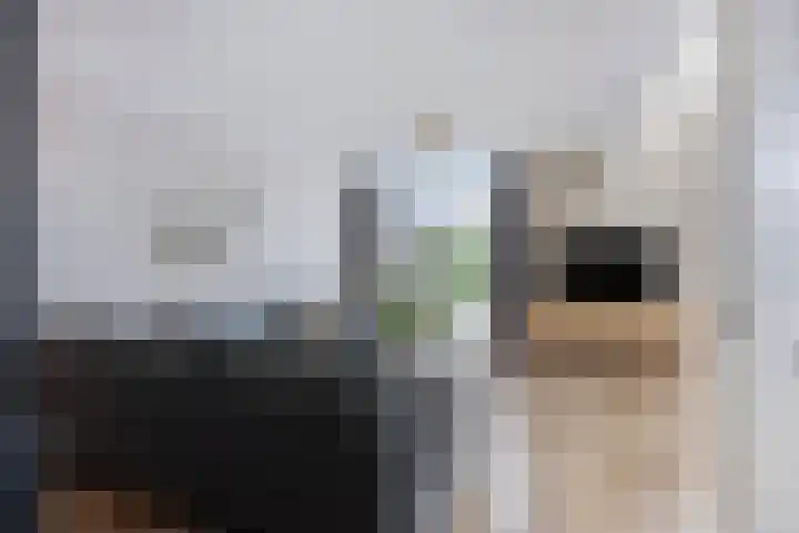 Elstarpad 2 IJsselstein thumbnail 11