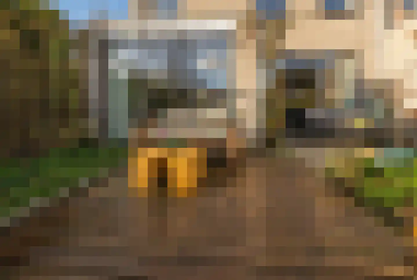 Elstarstraat 105 Kapelle thumbnail 30