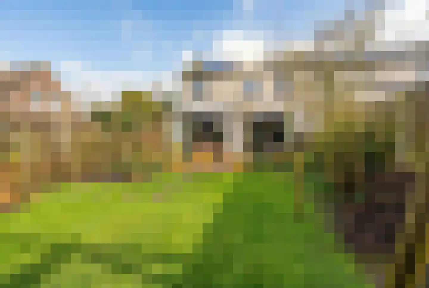 Elstarstraat 105 Kapelle thumbnail 33