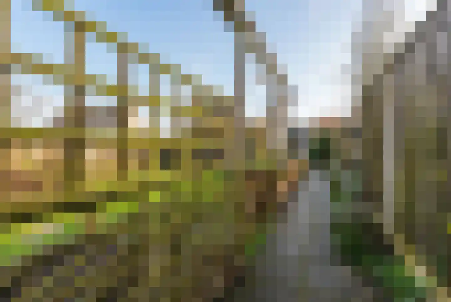 Elstarstraat 105 Kapelle thumbnail 34