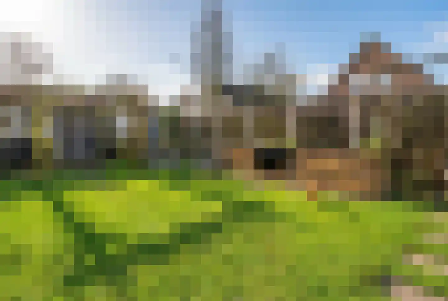 Elstarstraat 105 Kapelle thumbnail 35