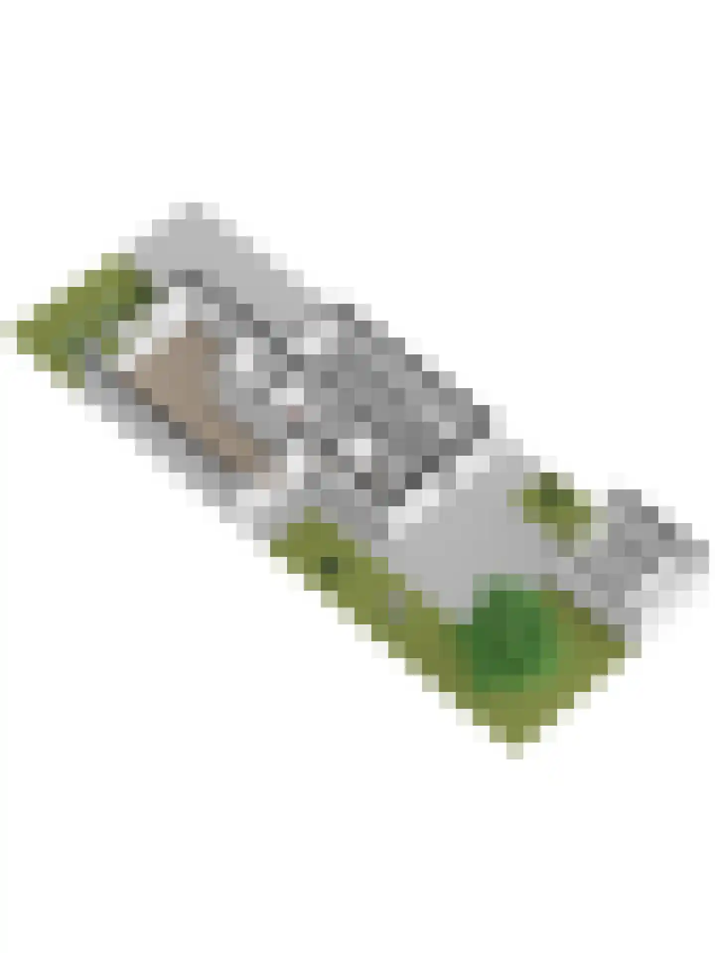 Elstarstraat 119 Kapelle thumbnail 65