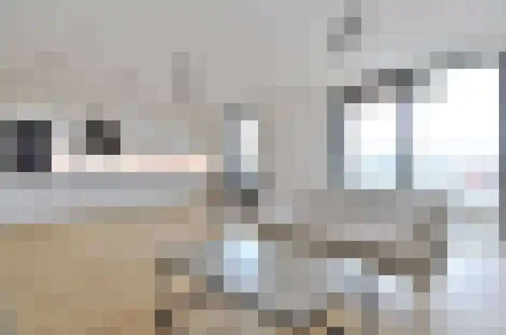 Elstarstraat 137 Amsterdam thumbnail 7