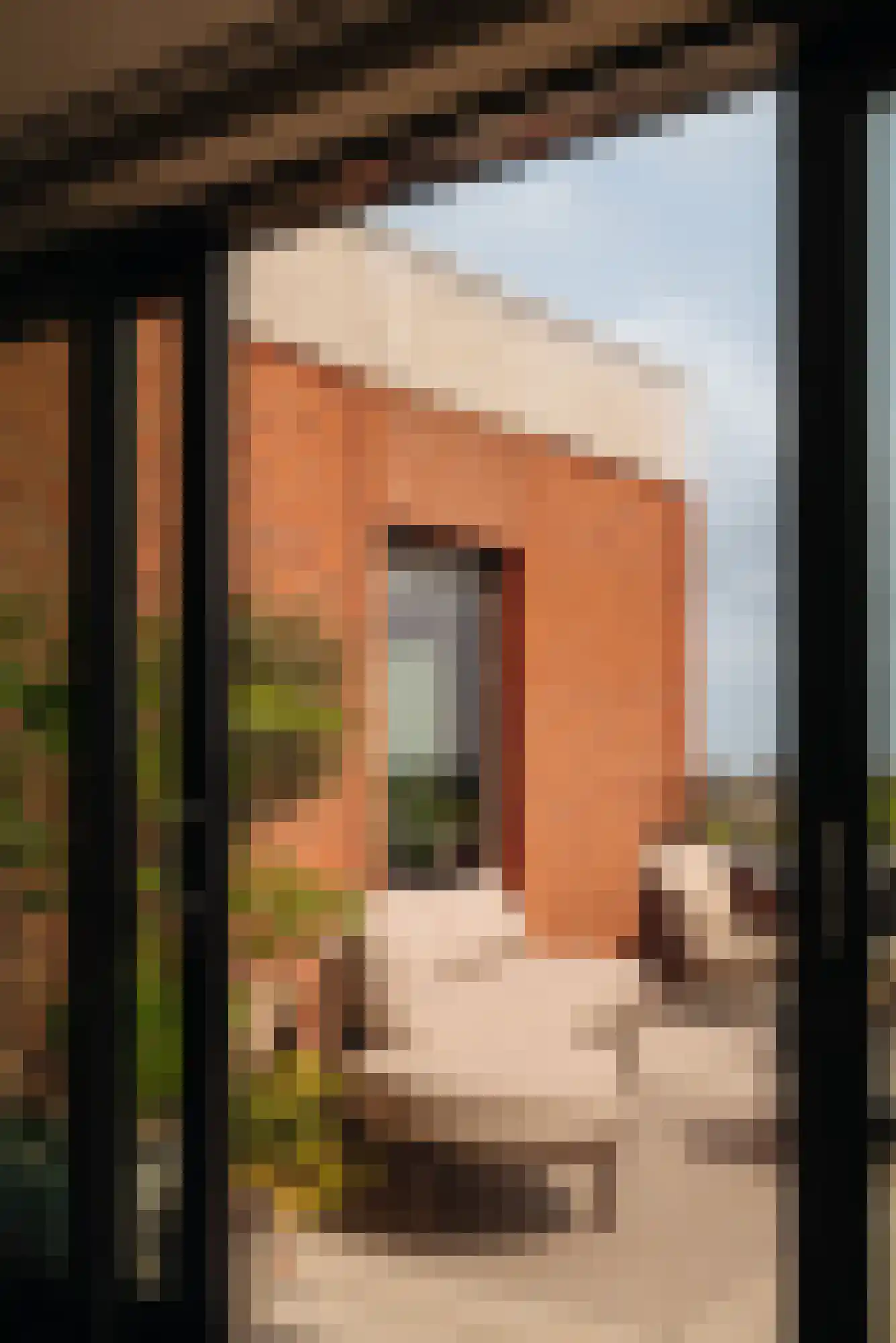 Elstarstraat 149 Amsterdam thumbnail 18
