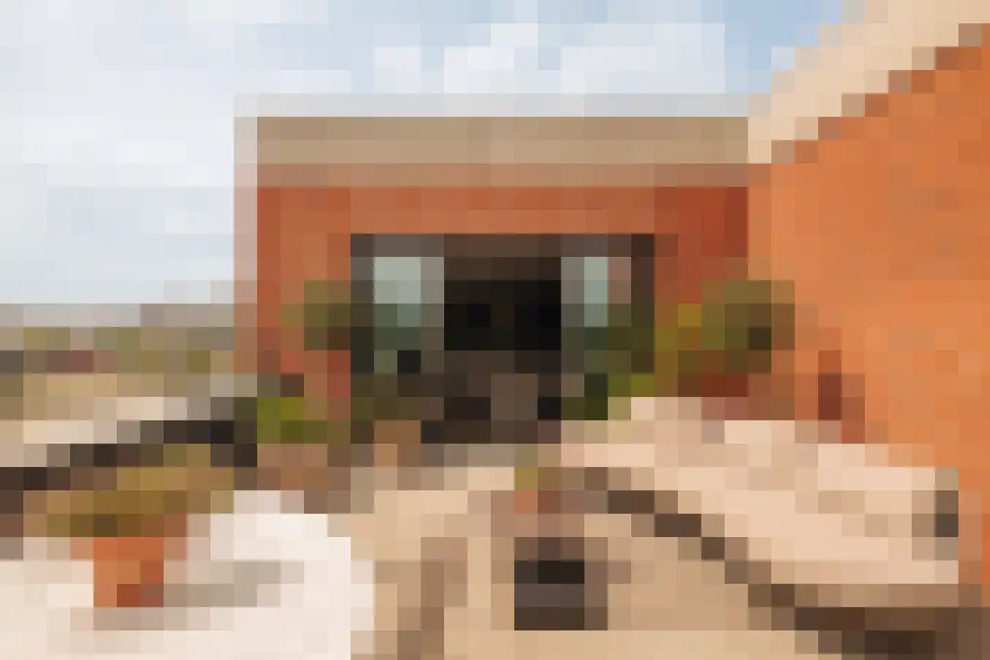 Elstarstraat 149 Amsterdam thumbnail 22