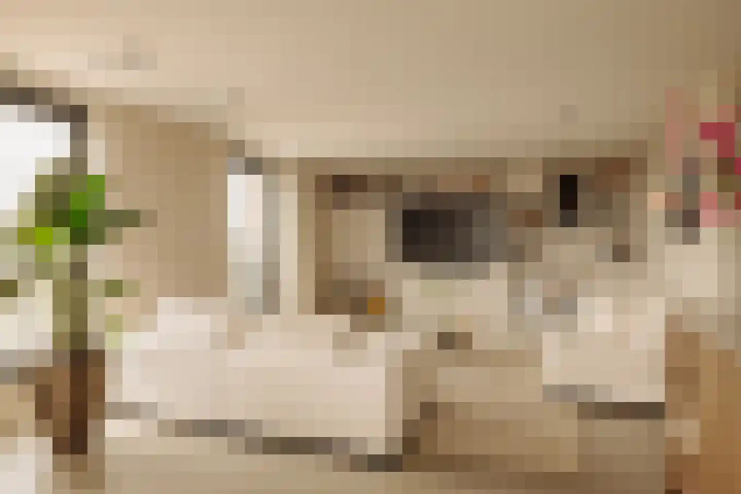Elstarstraat 149 Amsterdam thumbnail 9