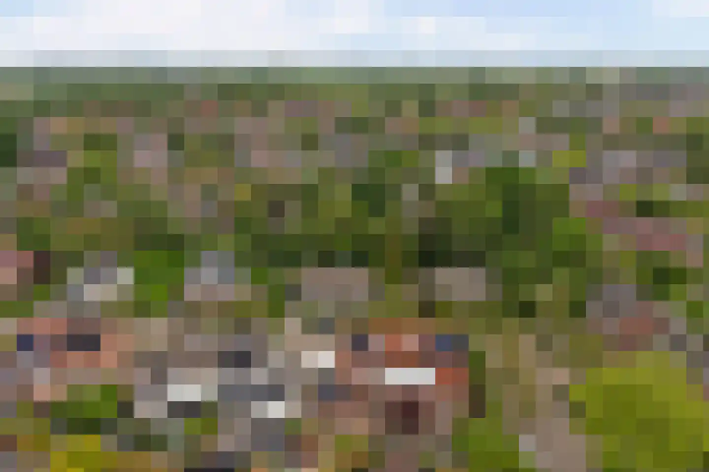 Elstarstraat 21 Kapelle thumbnail 39