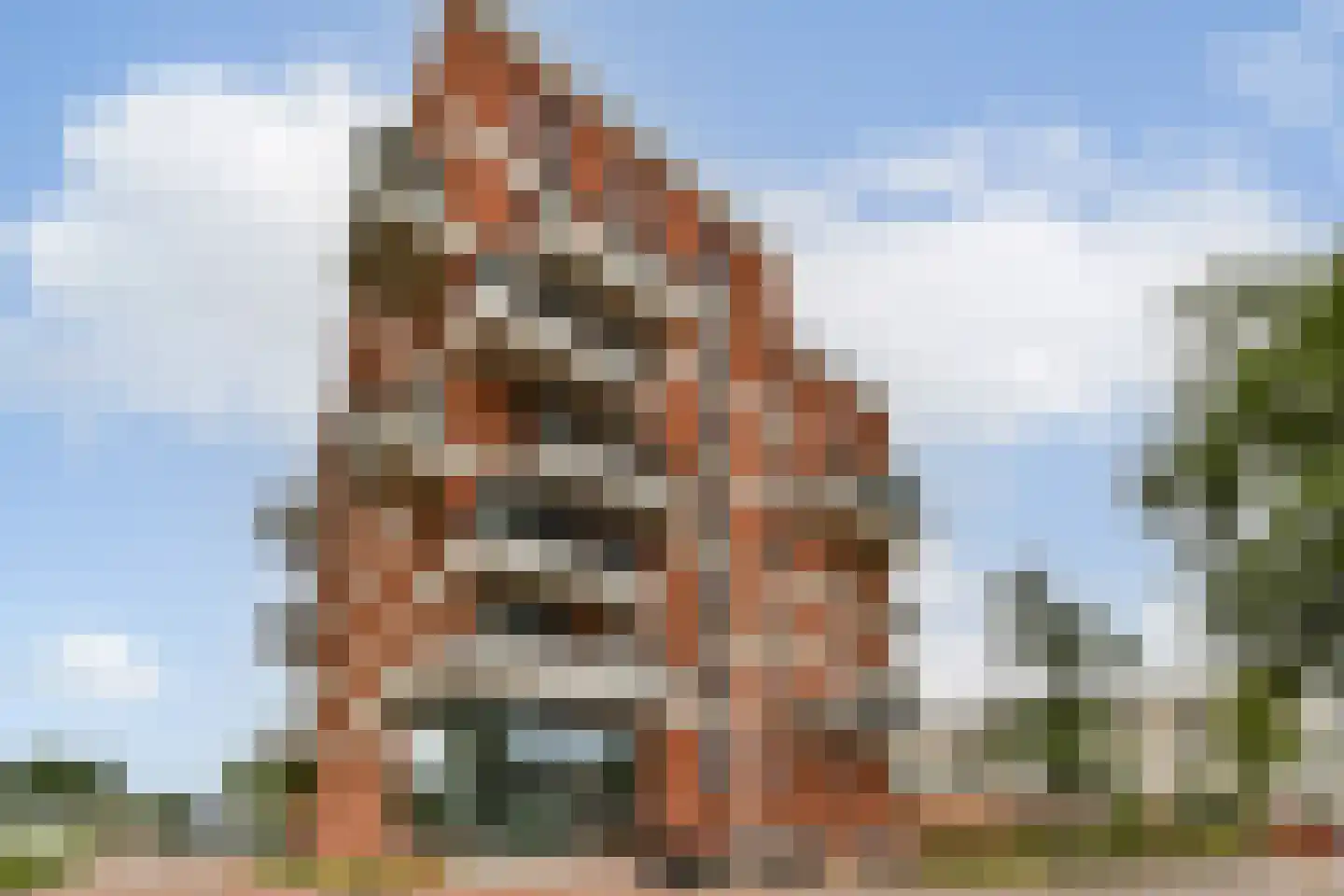 Elstarstraat 23 Amsterdam thumbnail 27