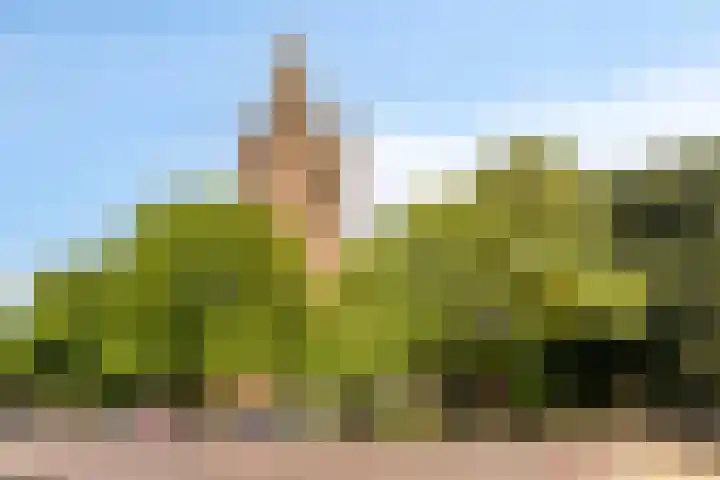 Elstarstraat 23 Kapelle thumbnail 31