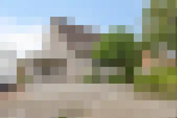 Elstarstraat 23 Kapelle thumbnail 36