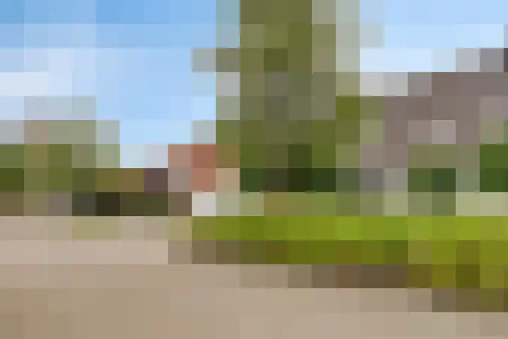 Elstarstraat 23 Kapelle thumbnail 5