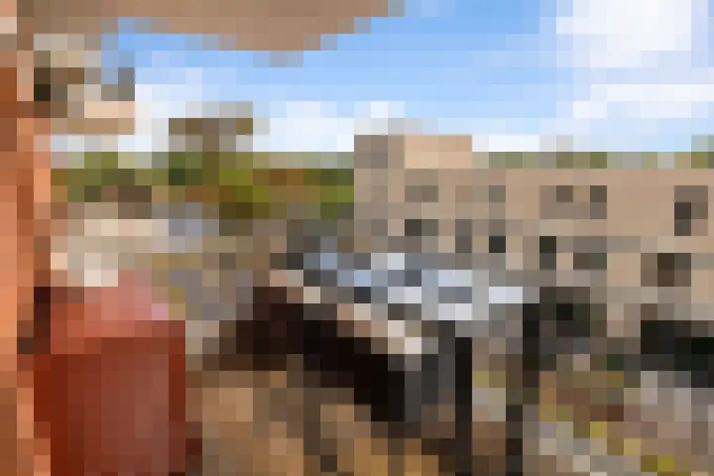 Elstarstraat 25 Amsterdam thumbnail 15